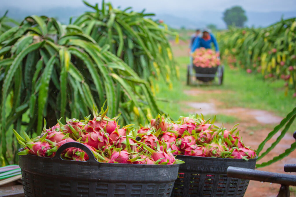 about us best agricultural