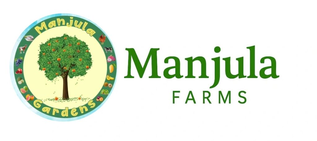 img 20251019 222331 884