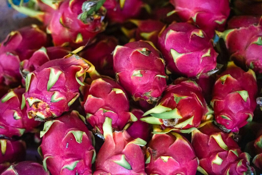Fresh dragon fruits captured in vibrant, colorful close-up image.